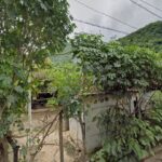 Biomedica DASP - Taller de reparaciones eléctricas en Frontera Comalapa, Chiapas, México